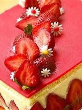 FRAISIER 6 PARTS ROND/RECTANGLE