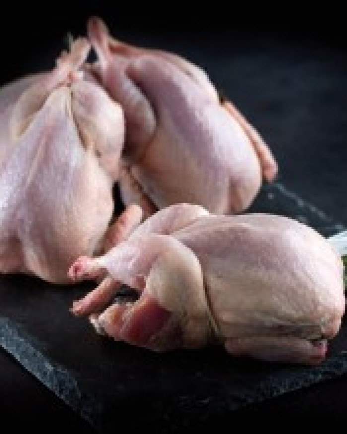 CAILLE NUE FARCIE -MORILLE OU FARCE DE NOEL