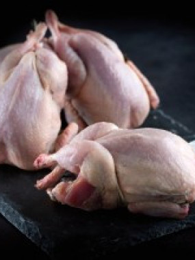 CAILLE NUE FARCIE -MORILLE OU FARCE DE NOEL