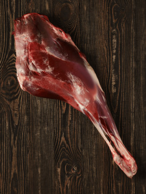 CUISSOT DE CERF AVEC OS